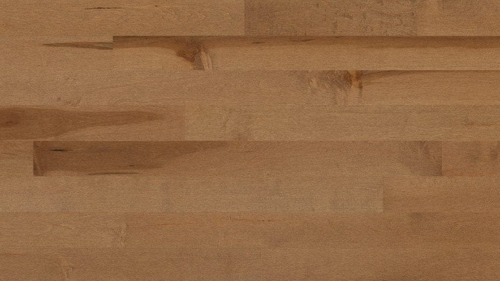 Érable Papyrus - Bistro